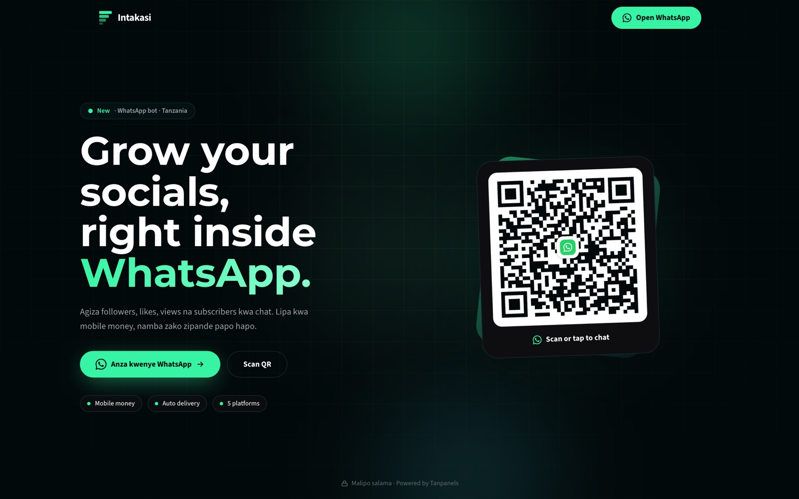 Intakasi website screenshot